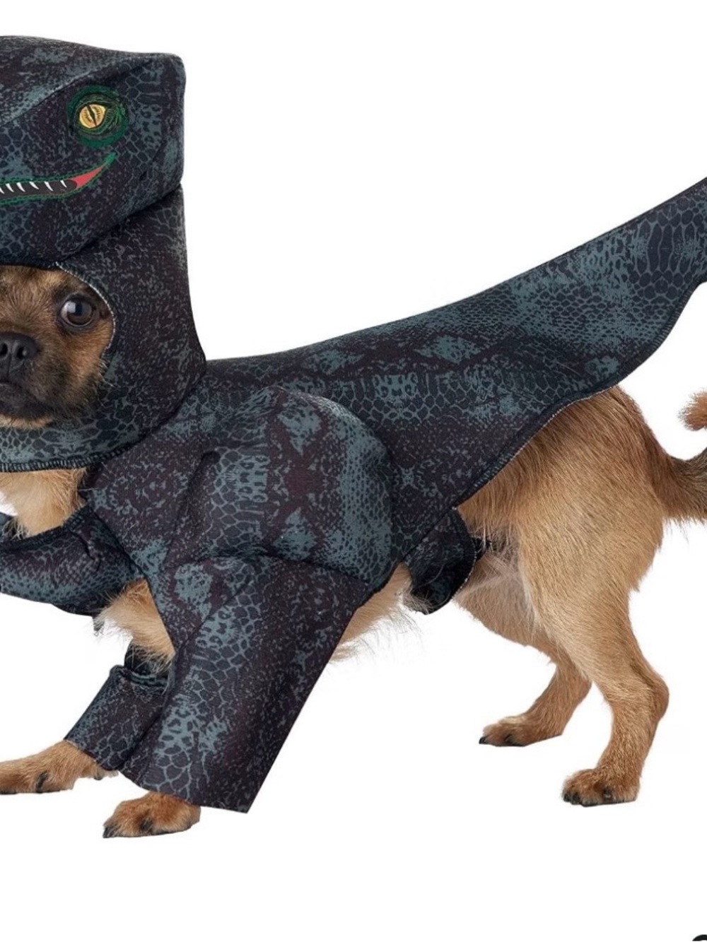 Dog Dinosaur Costume - Dark Green & Black Pet Outfit